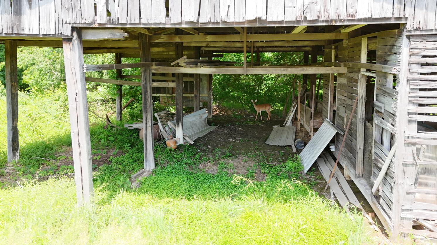 Large Farm Property With Water And Electric Onsite - photo 4