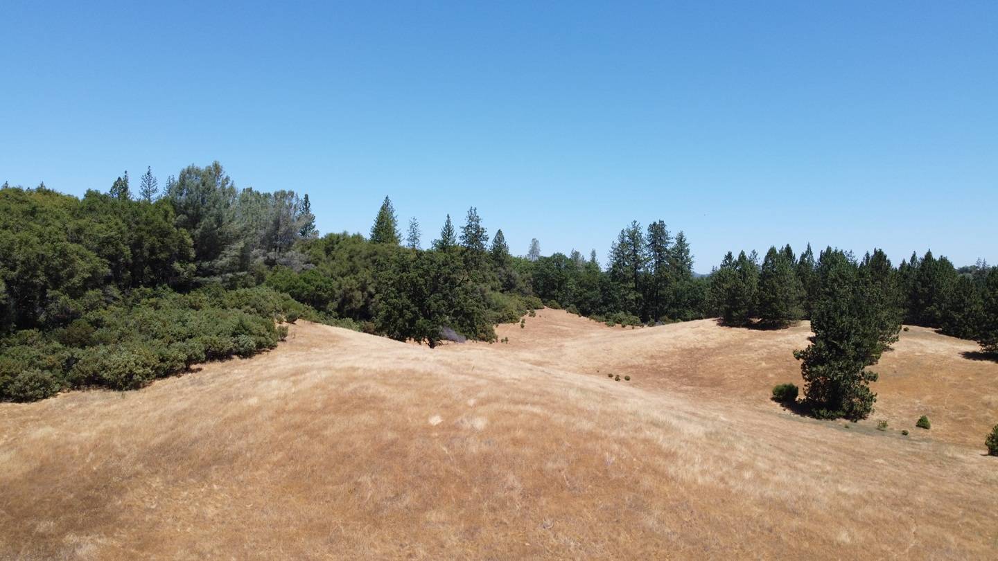 Beautiful Rolling 165 Acres, 100GPM Well too! - photo 12