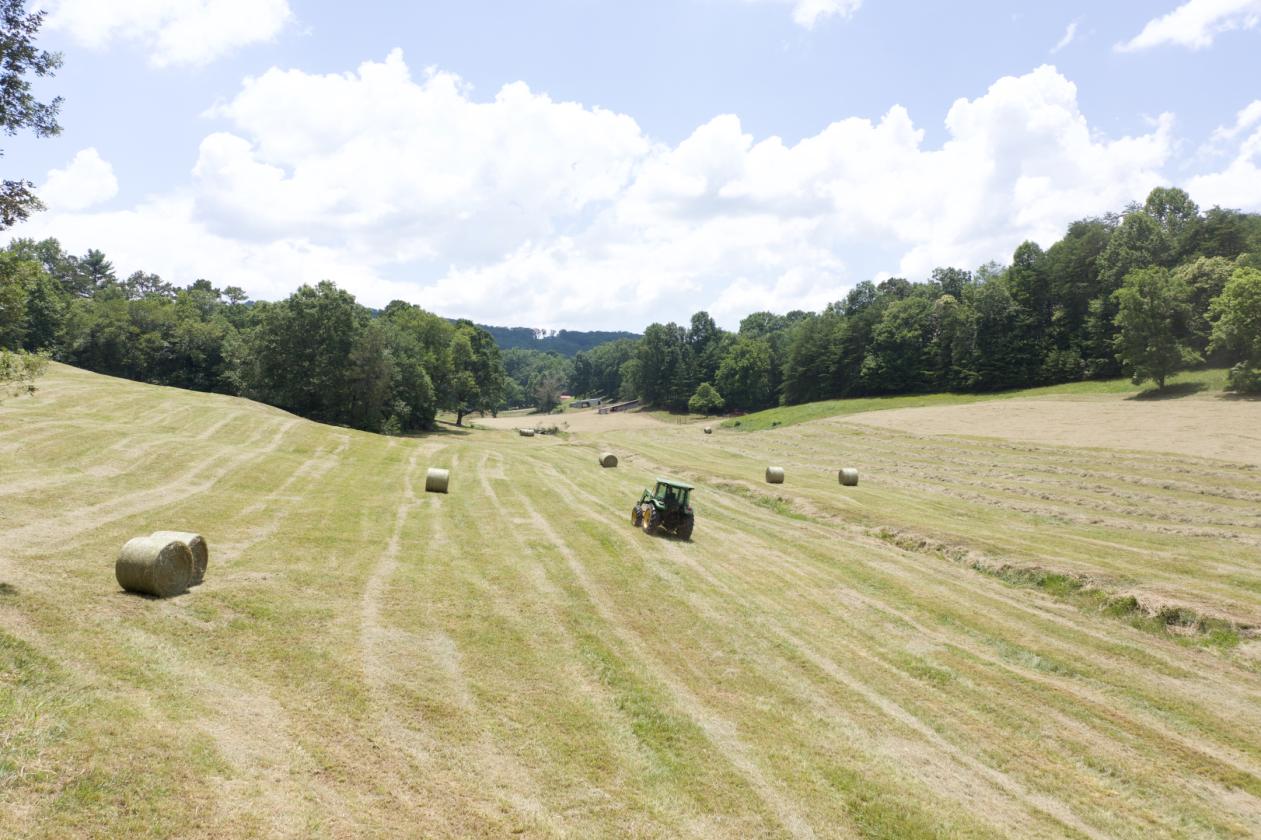 Large Equestrian Estate-Pasture, Mountains, Creeks - photo 9