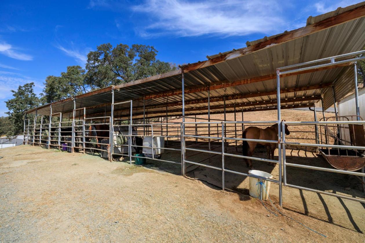 SPECTACTULAR LAKE FRONT HORSE PROPERTY RANCHETTE!! - photo 15