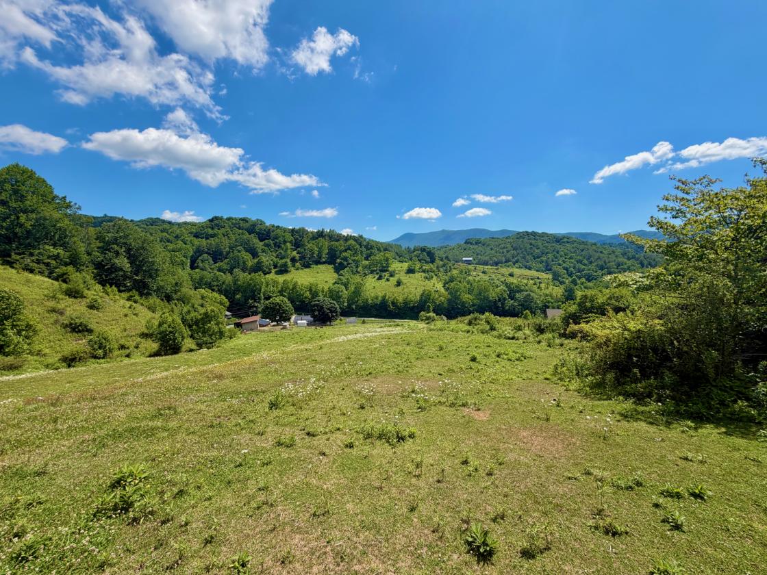 22-Acre Horse Property with Renovated Farmhouse - photo 5