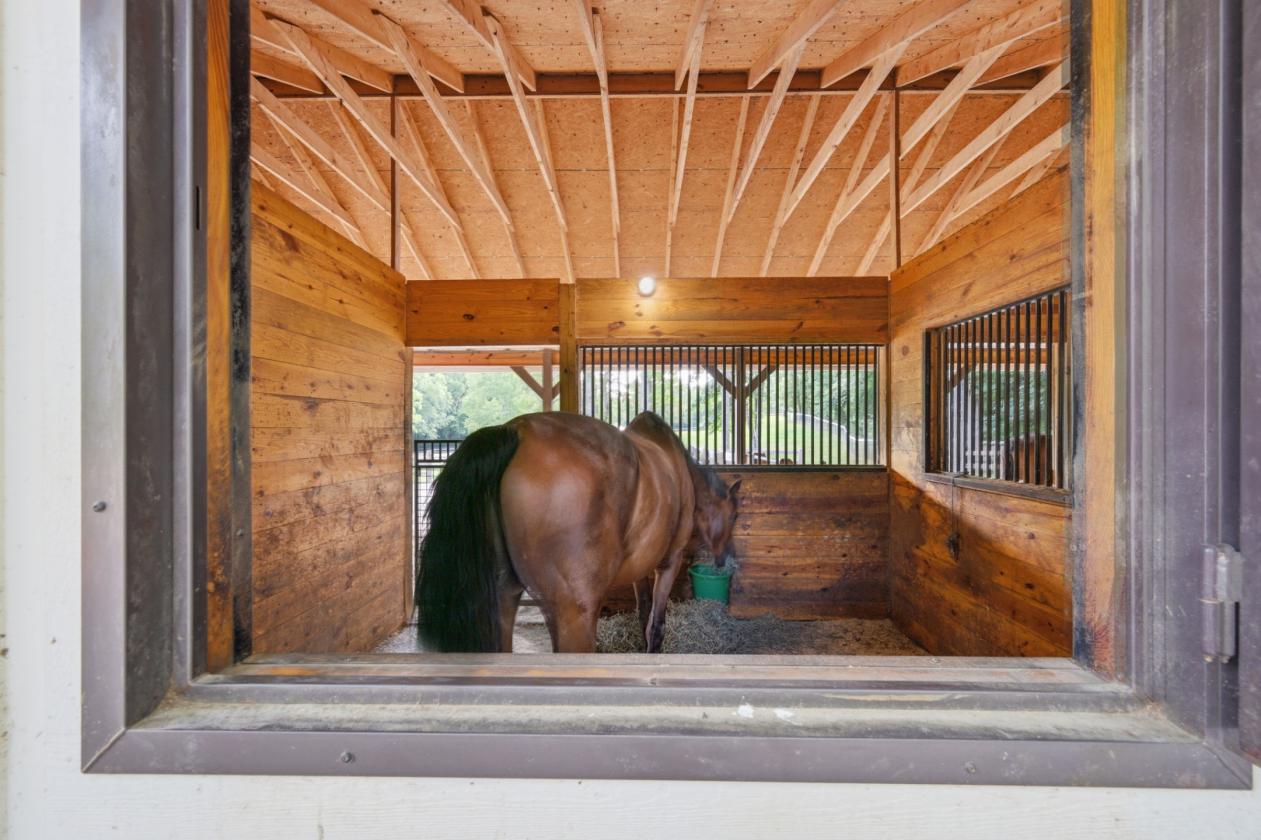 Luxury Equestrian Estate on 11.6 Acres - photo 24