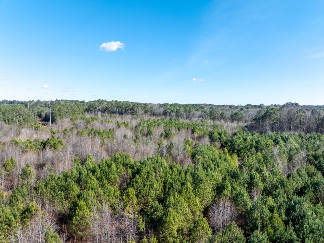 211 Acres- Luxury Estate & Equestrian Development - photo 15
