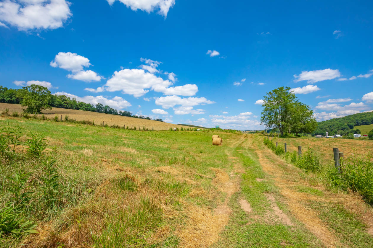 83 Acres w/ Unfishished Cabin, Ponds, & So Much More! New Castle