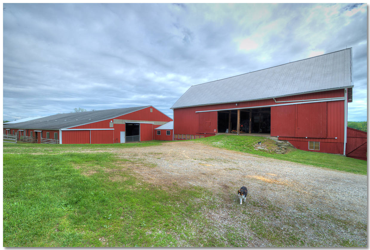Ohio Horse Farm Wadsworth, Medina County, Ohio
