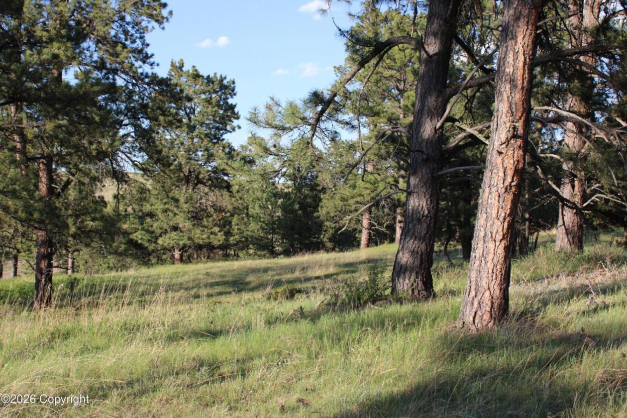 WY Horse Property with Views and NO Covenants! - photo 9
