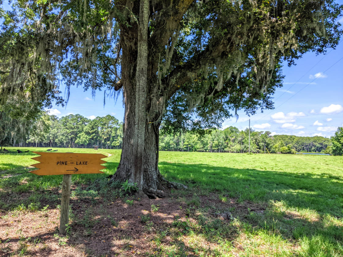 Rooks Ranch 2,193 Acres +\ Operating Cattle Ranch, Row Crop