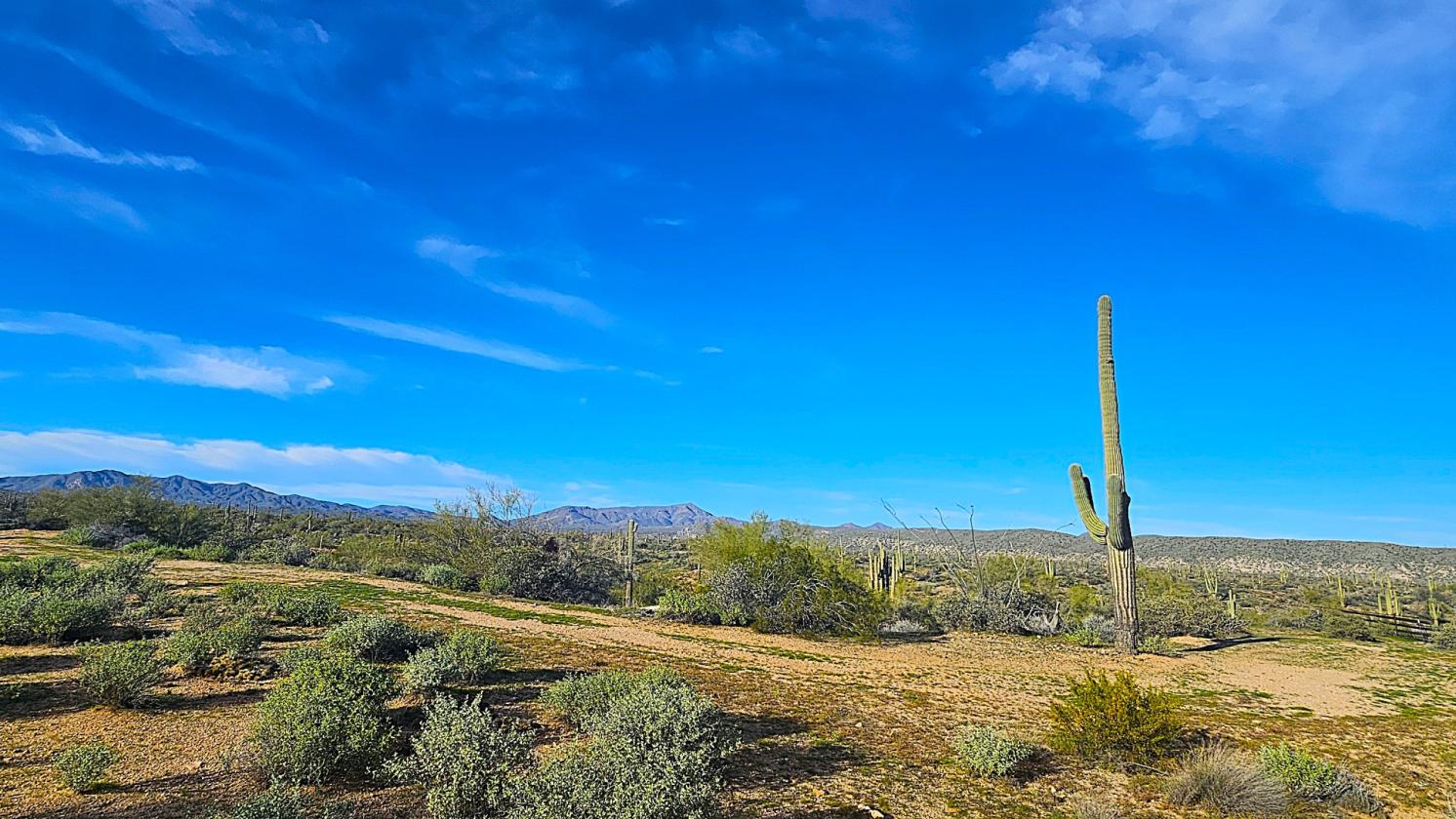 ACREAGE- NATIONAL FOREST FRONTAGE, PRIVATE WELL - photo 16