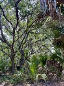 Property image.