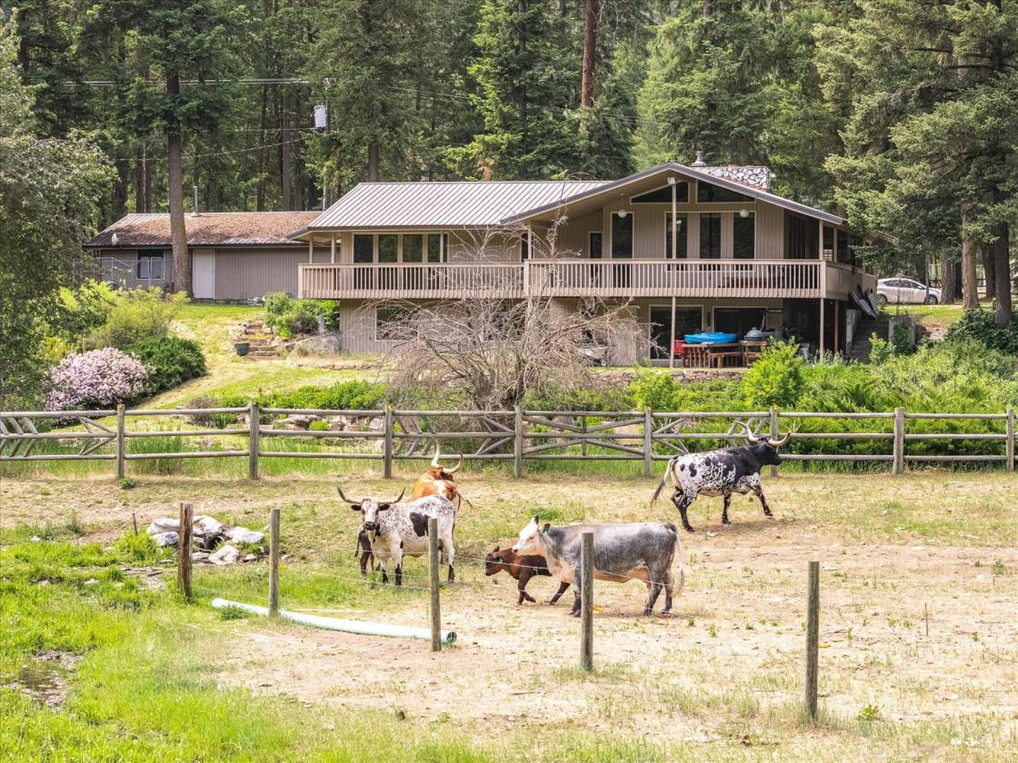 One-of-a-kind Custom Home! 16+ Acres on Mill Creek - photo 1