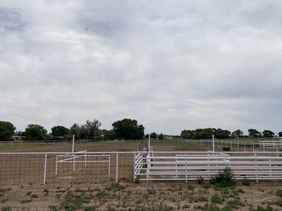 Premier 5 acre horse property with large arena and adobe... Bosque