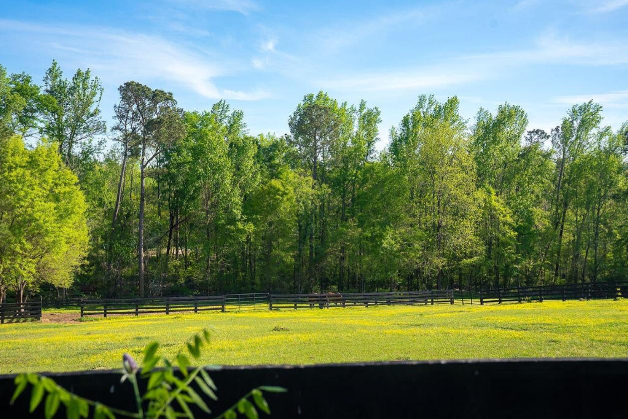 Exceptional Equestrian Living in Mt Vintage - photo 15