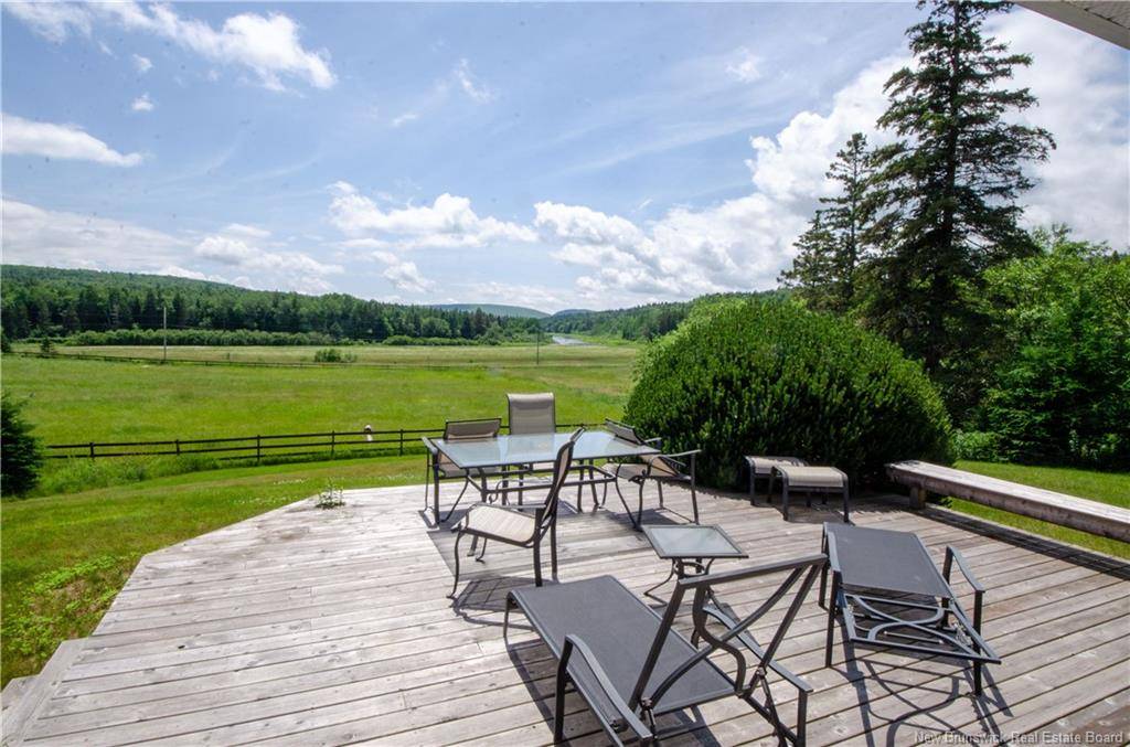 Horse Property for sale.