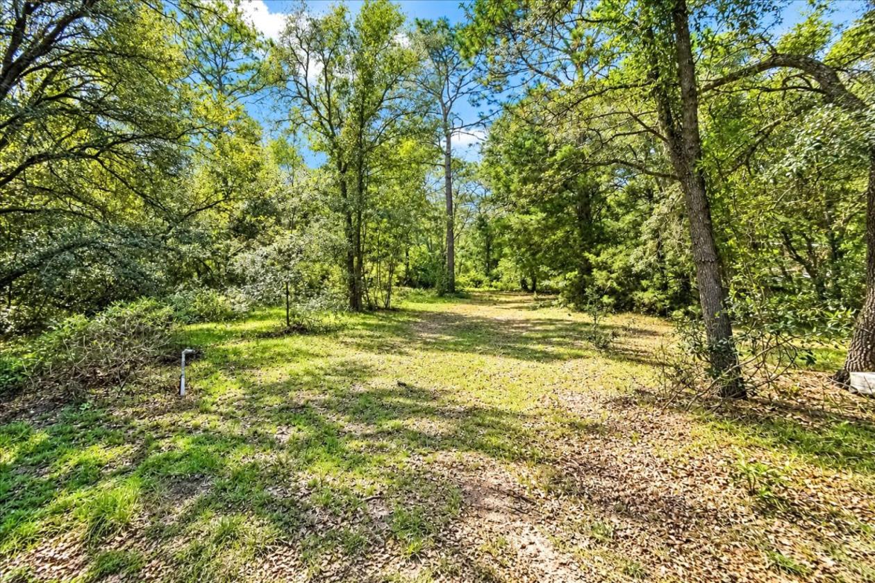 32 ACRES IN LEVY COUNTY NEAR WILLISTON - photo 8
