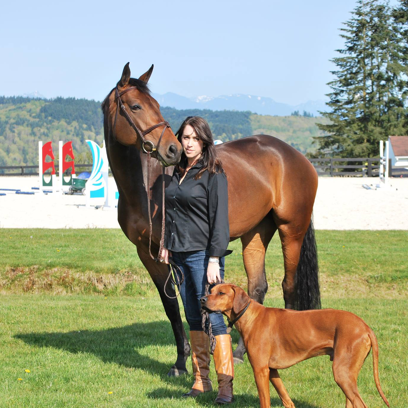 Agent profile picture