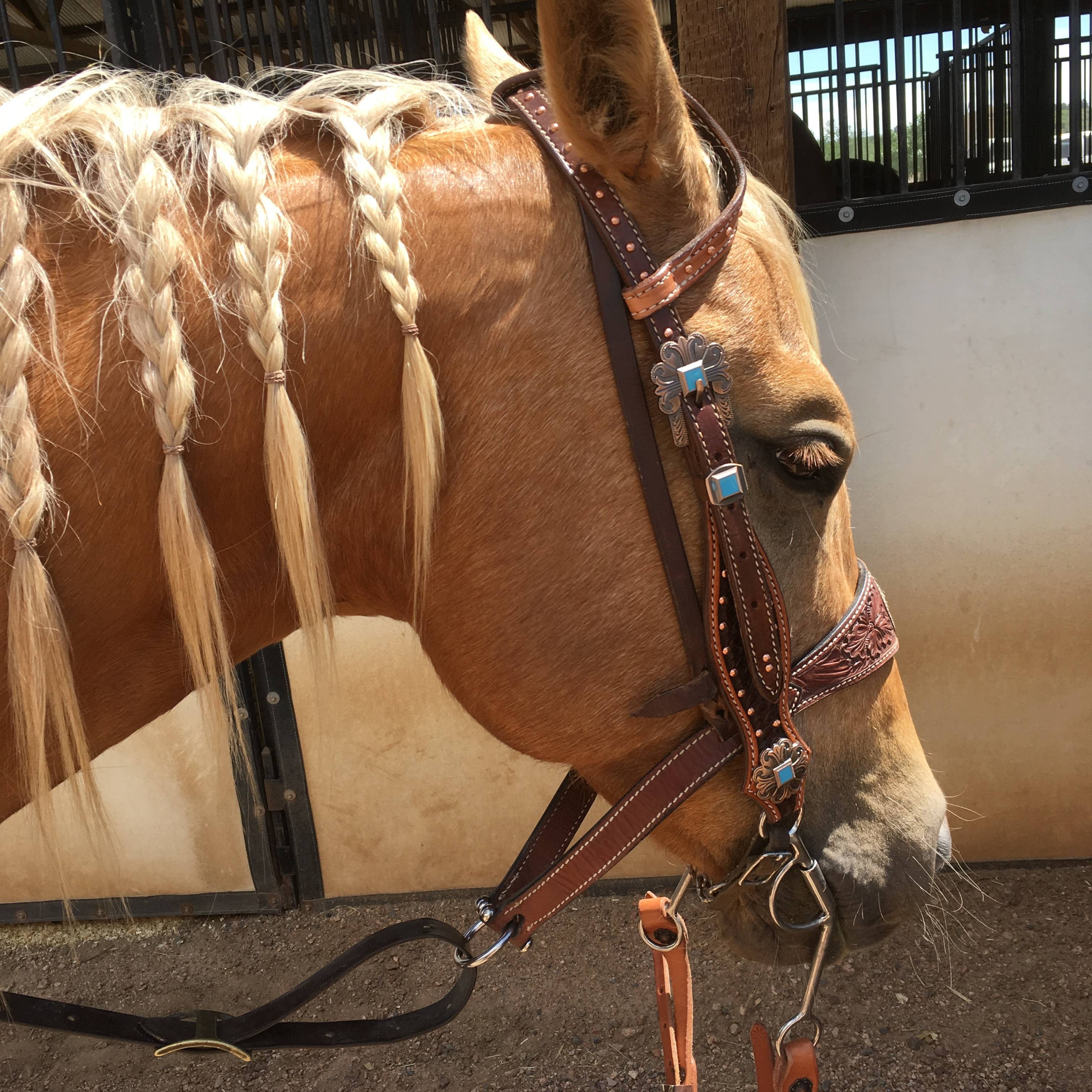 Agent profile picture