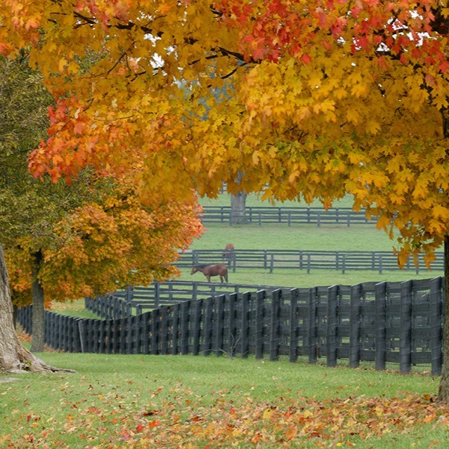 Agent profile picture