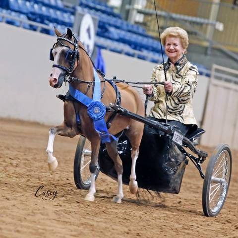 Agent profile picture