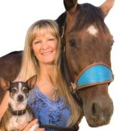 Agent profile picture