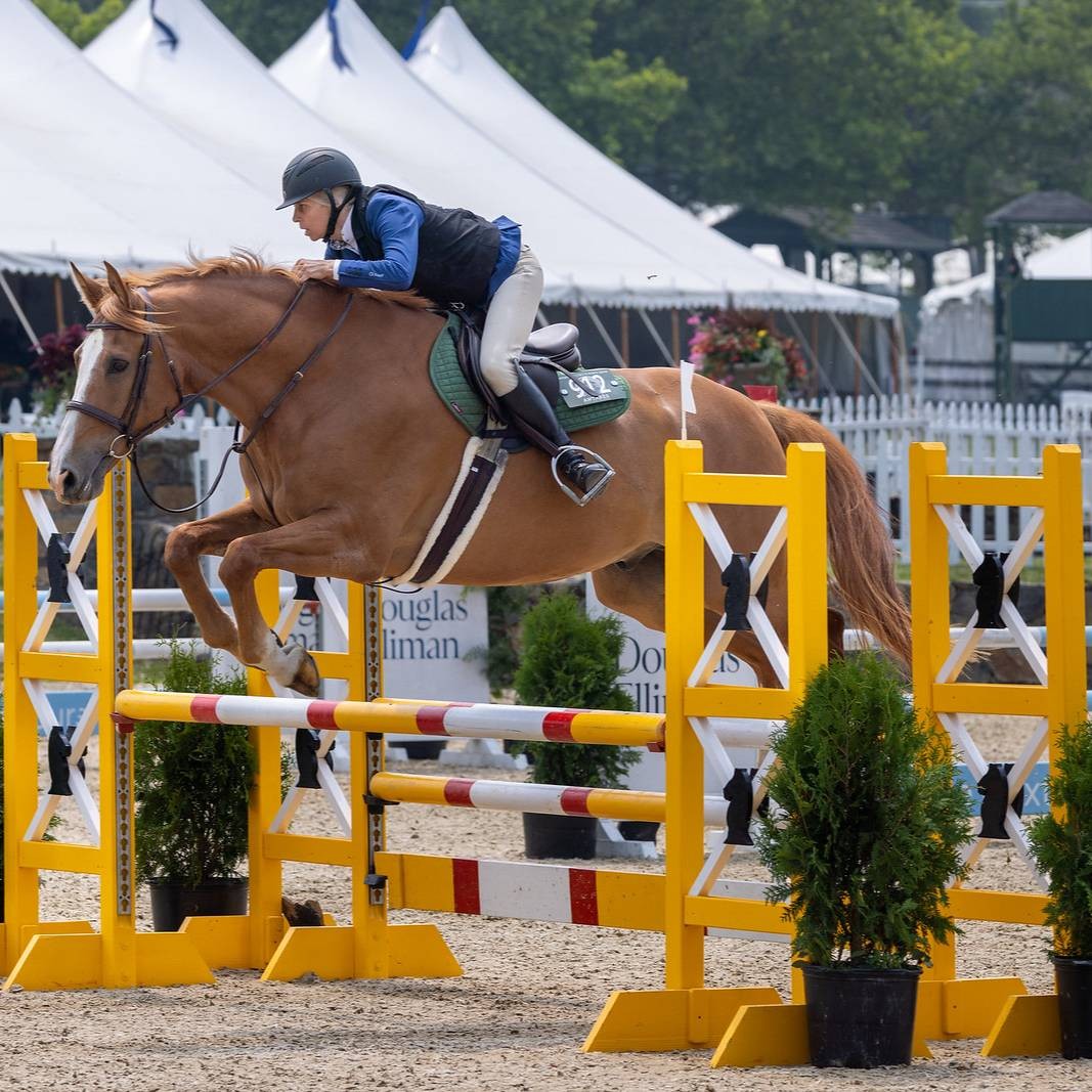 Agent profile picture