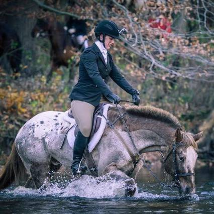 Agent profile picture