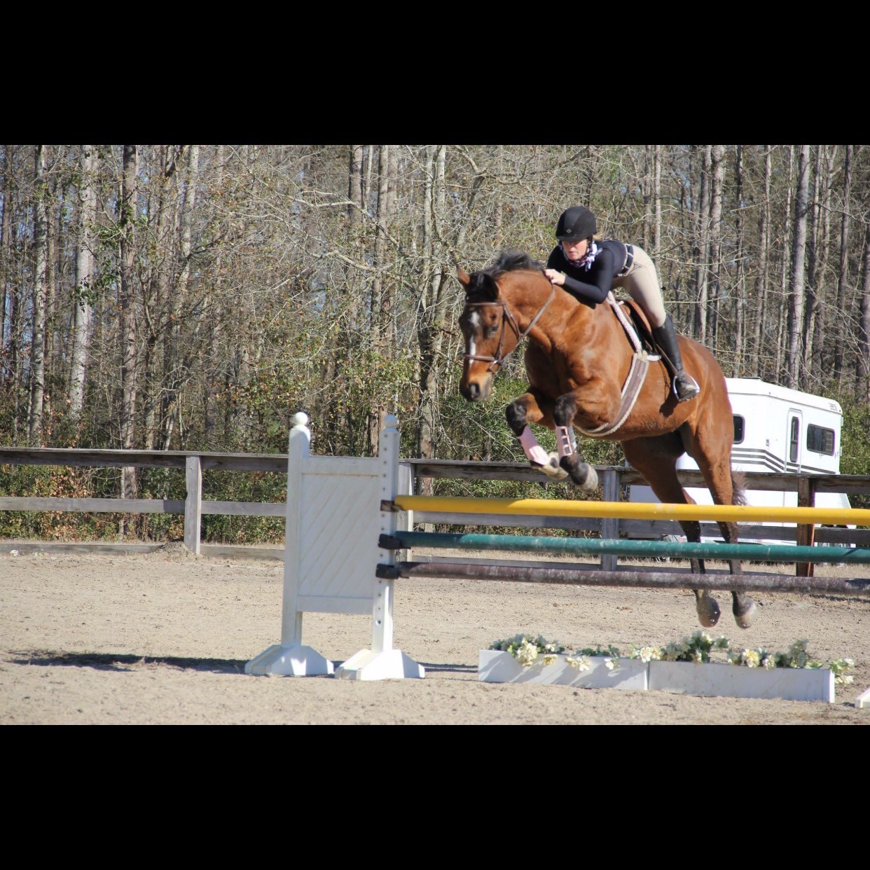 Agent profile picture