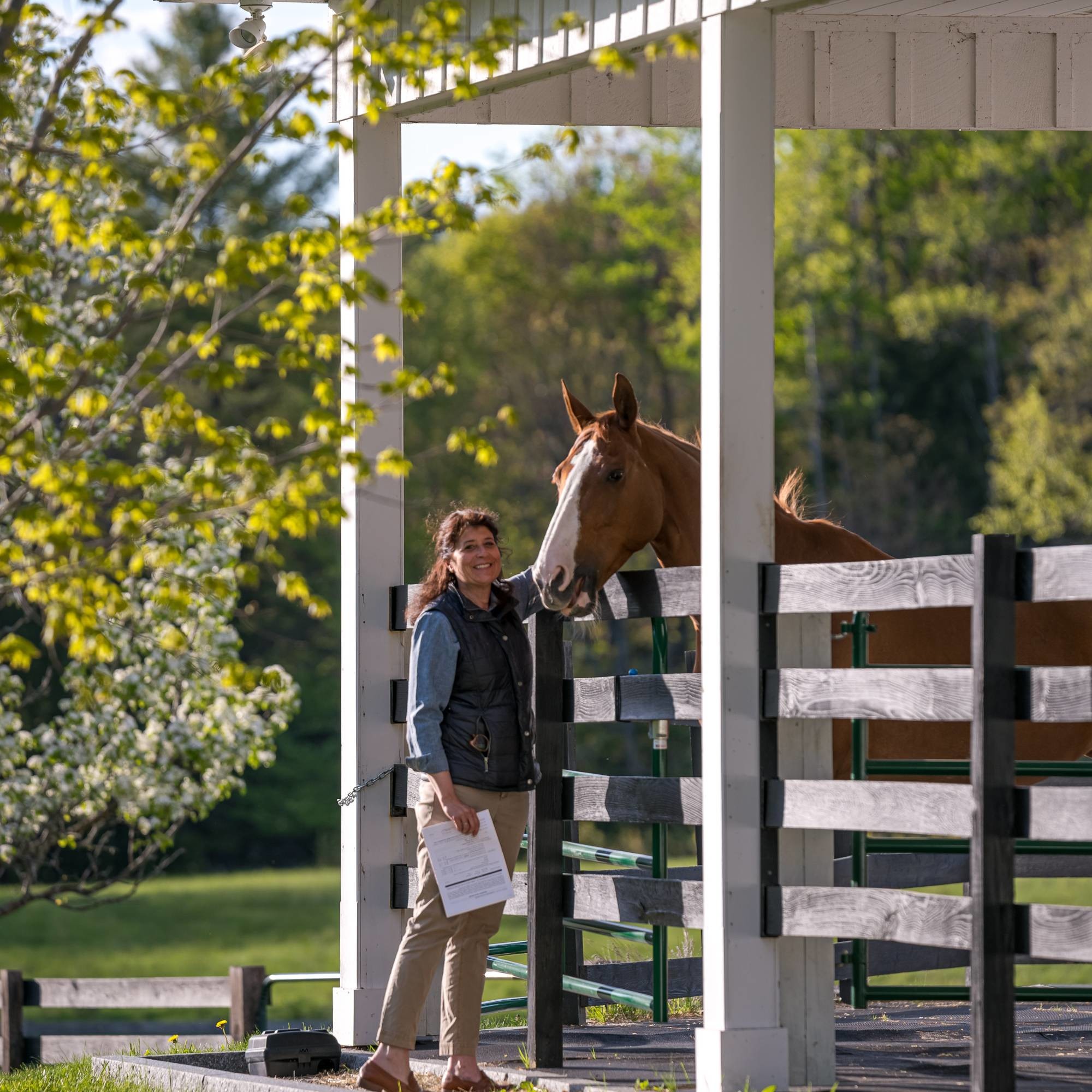 Agent profile picture