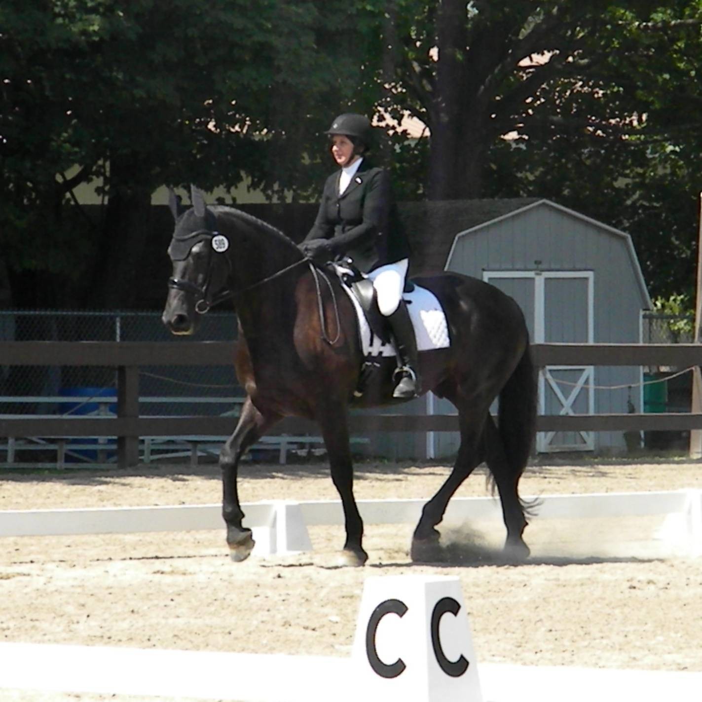 Agent profile picture