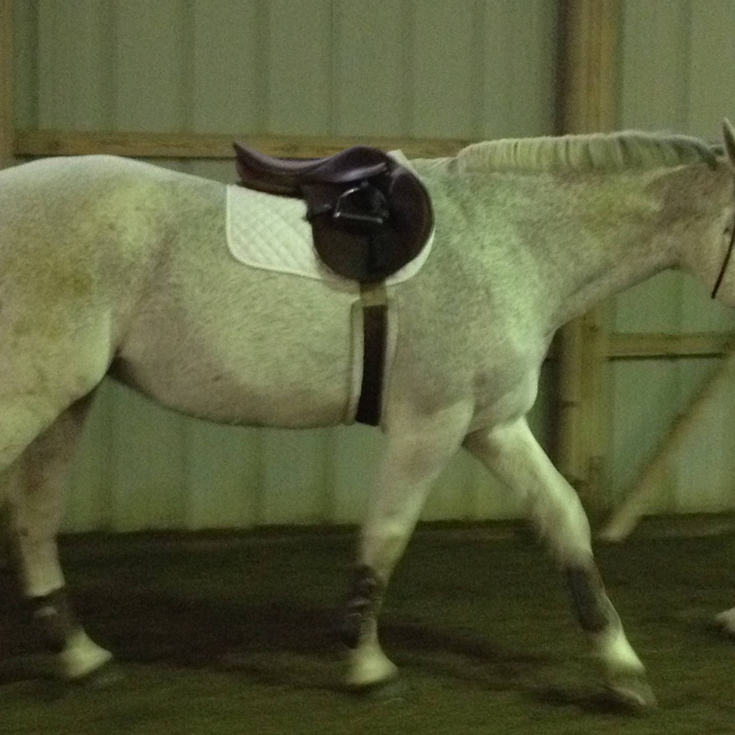 Agent profile picture