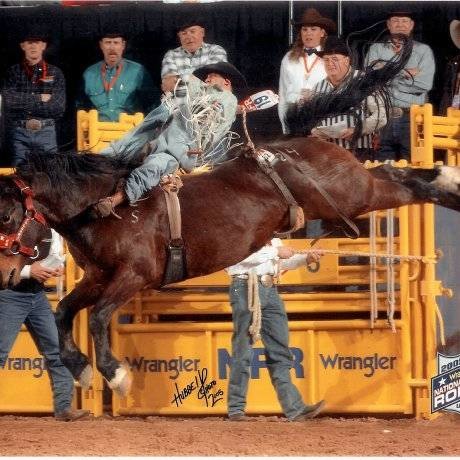 Agent profile picture.