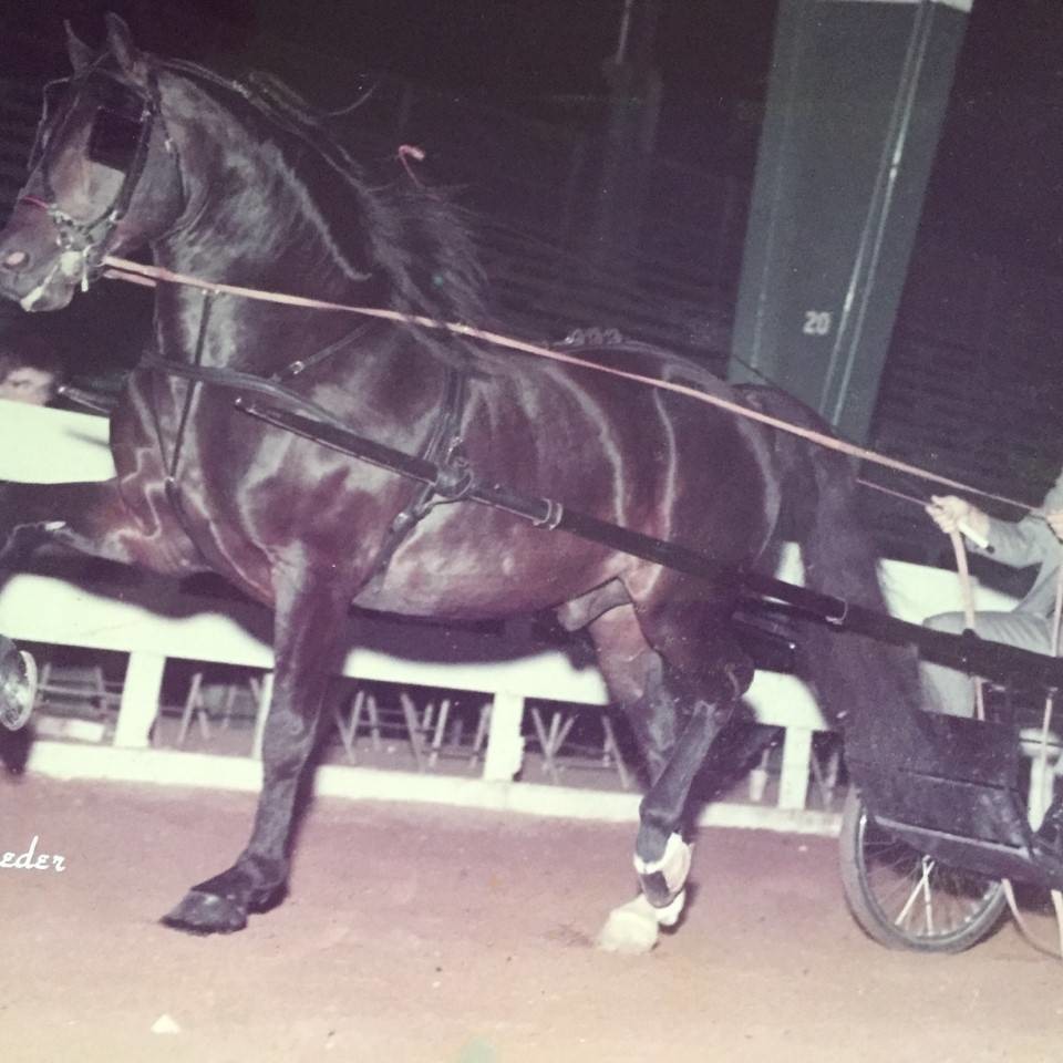 Agent profile picture