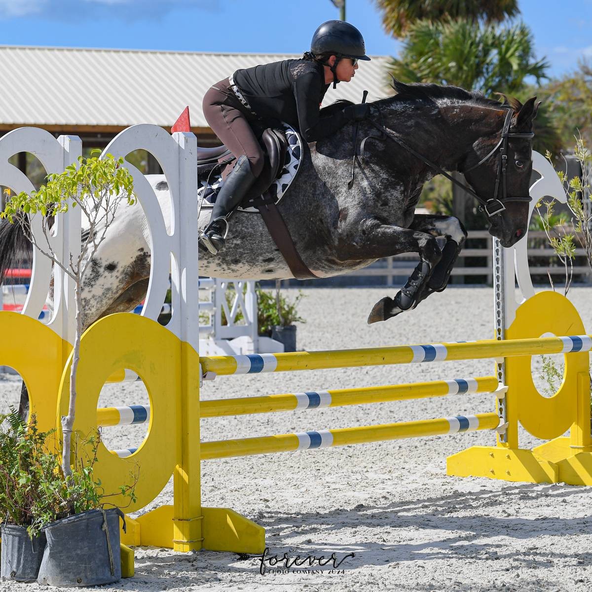 Agent profile picture