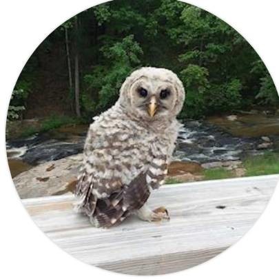 Agent profile picture