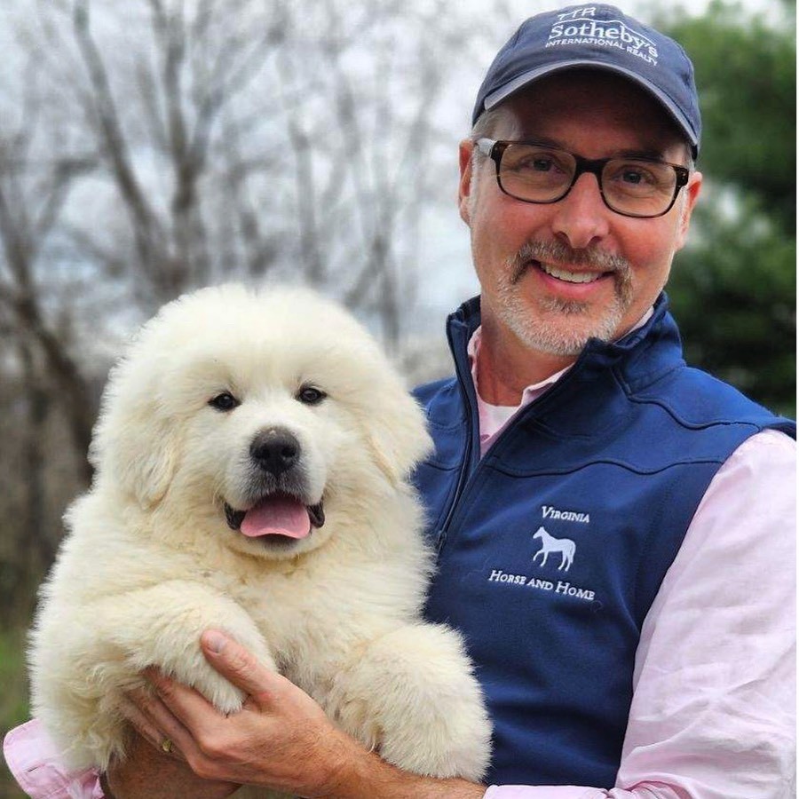 Agent profile picture