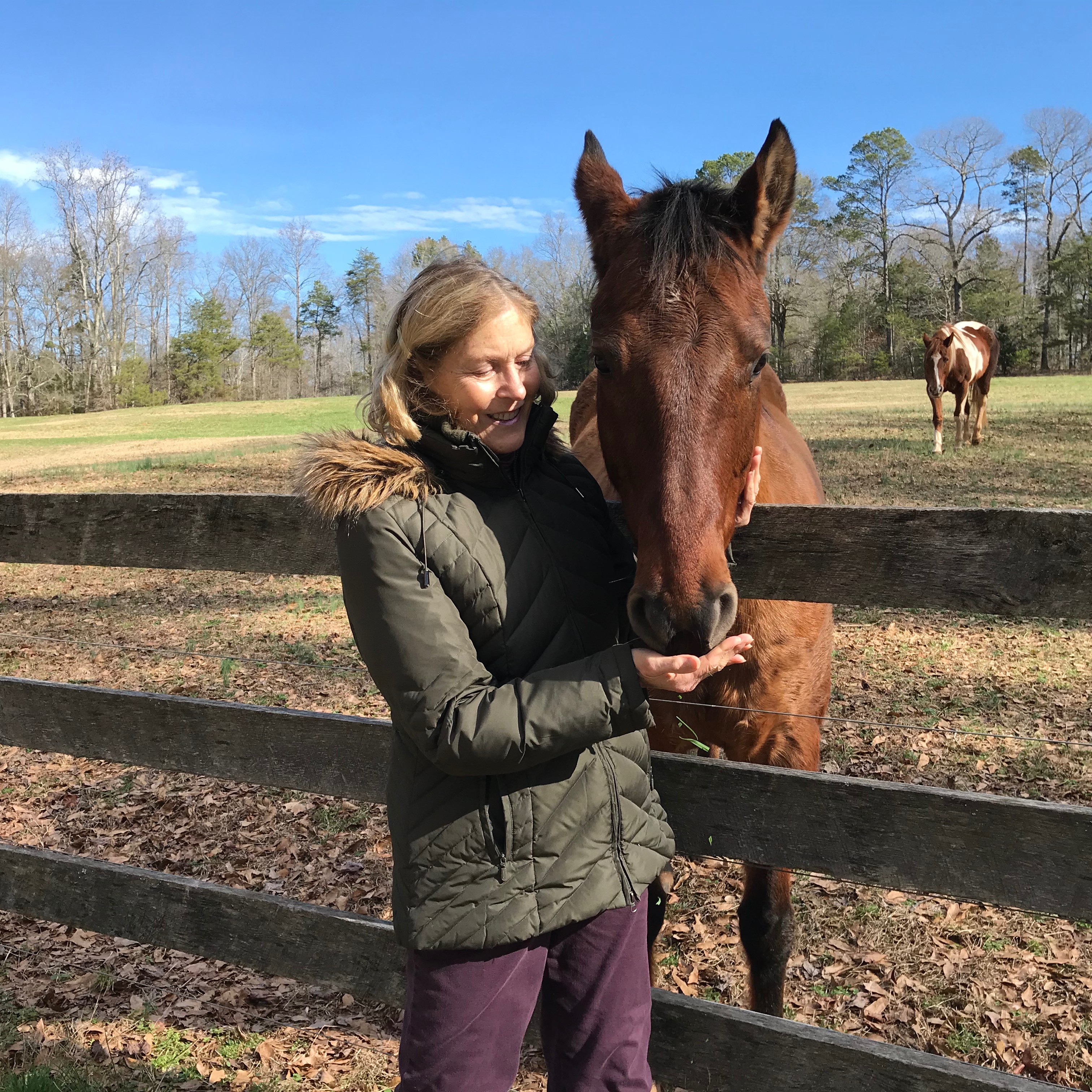 Agent profile picture