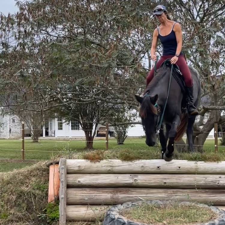 Agent profile picture