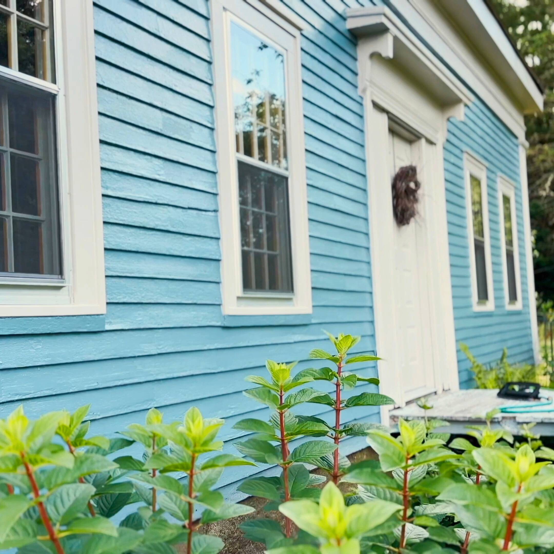 Agent profile picture.