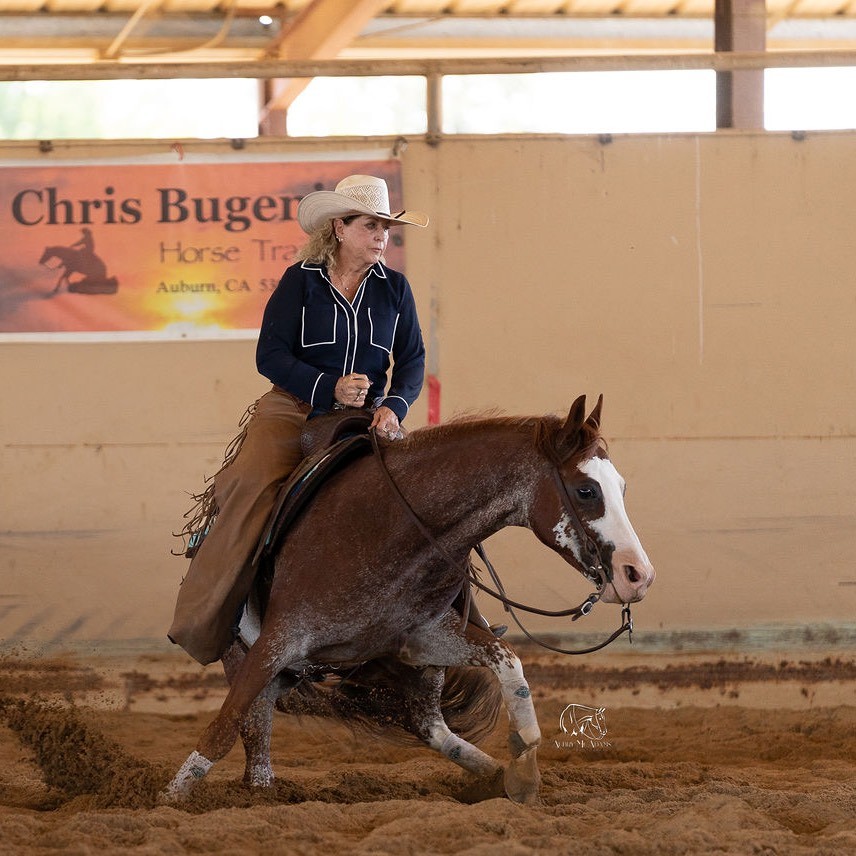 Agent profile picture.