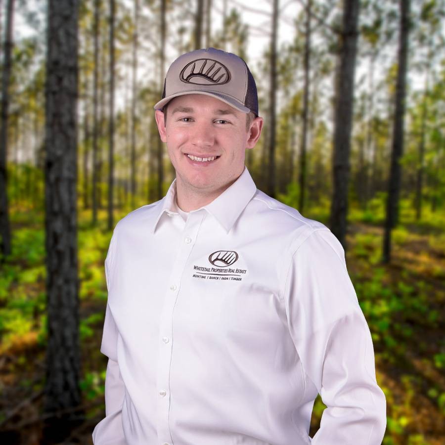 Agent profile picture