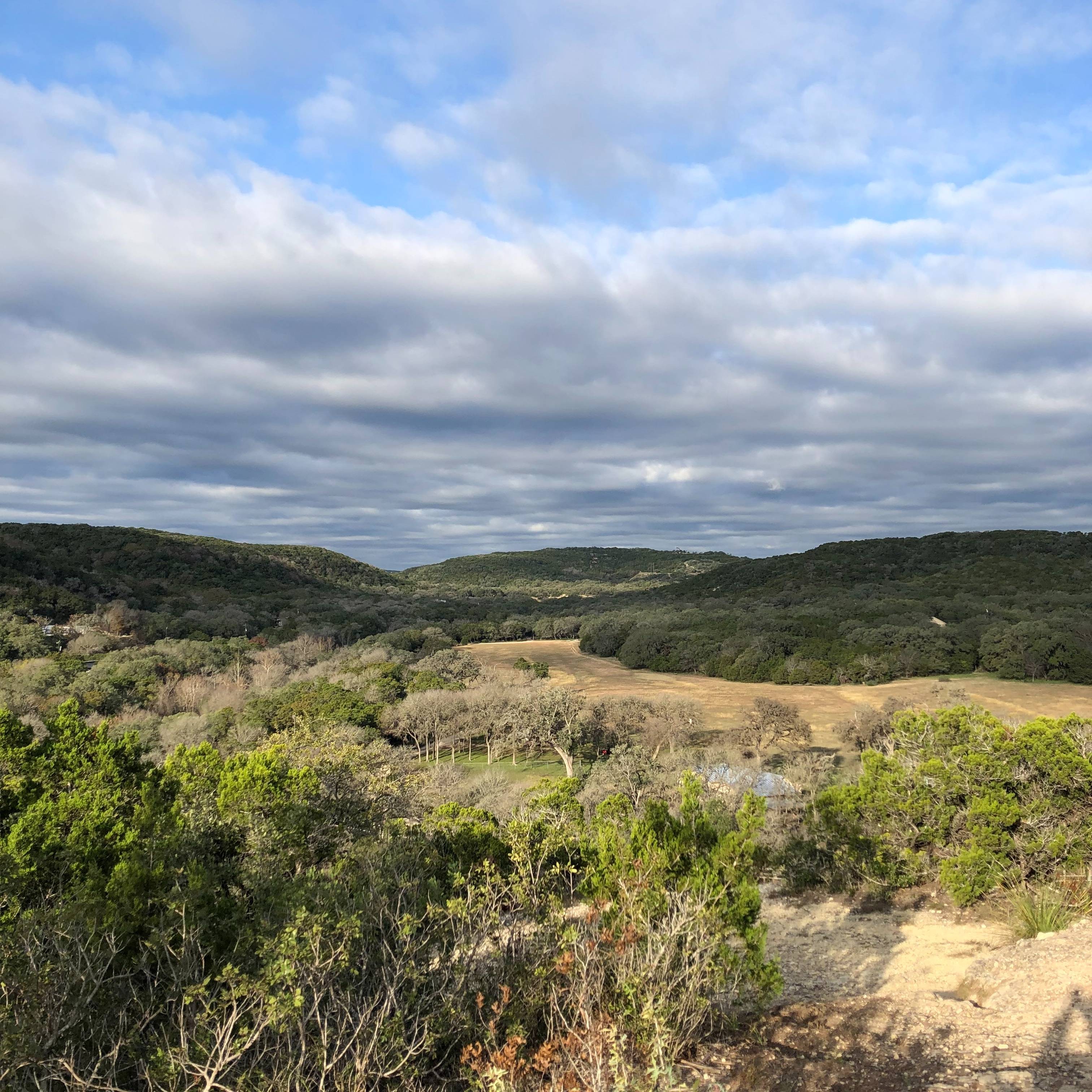 Agent profile picture.