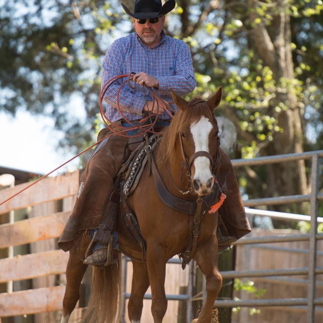 Agent profile picture.