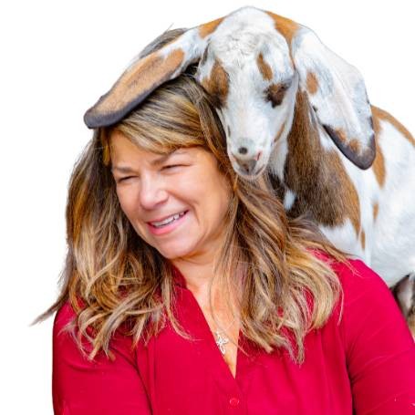 Agent profile picture.