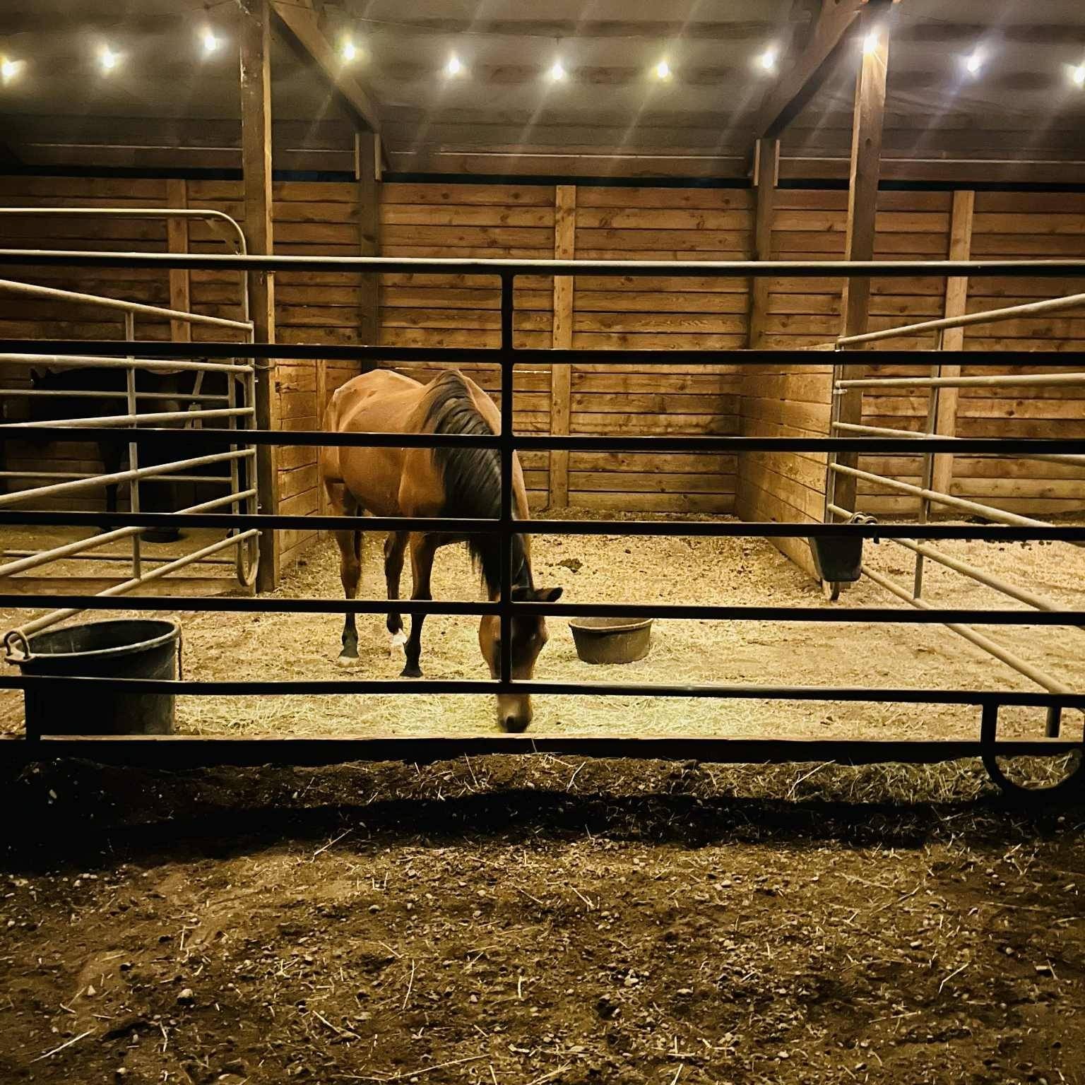 Agent profile picture.