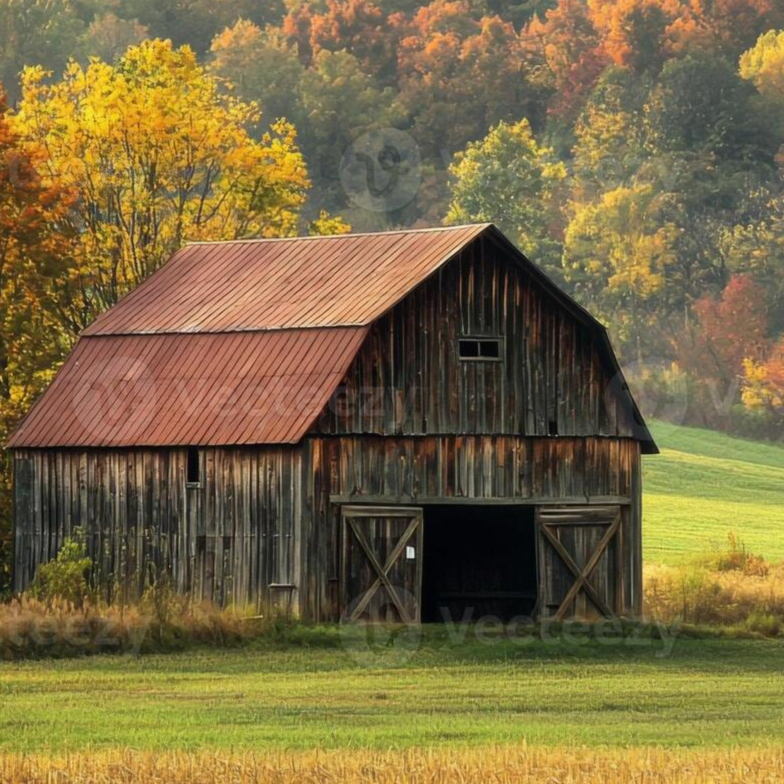 Agent profile picture.